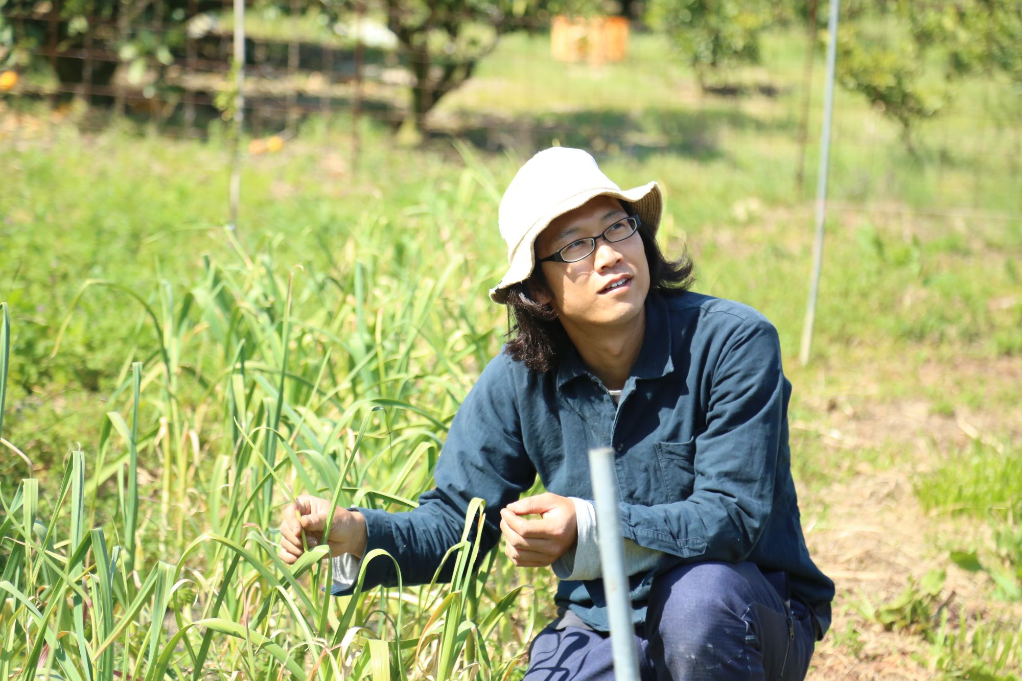 大三島　旬の野菜収穫体験　Paya Paya Farm