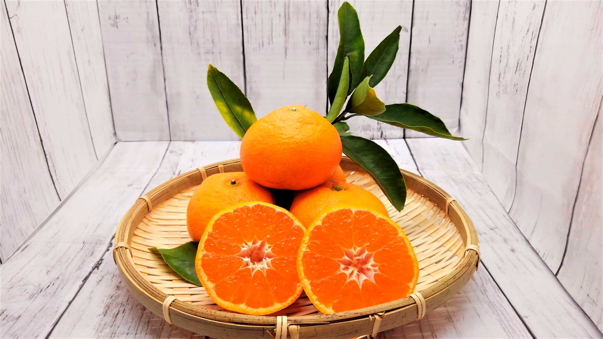 Omishima Citrus Harvest Experience