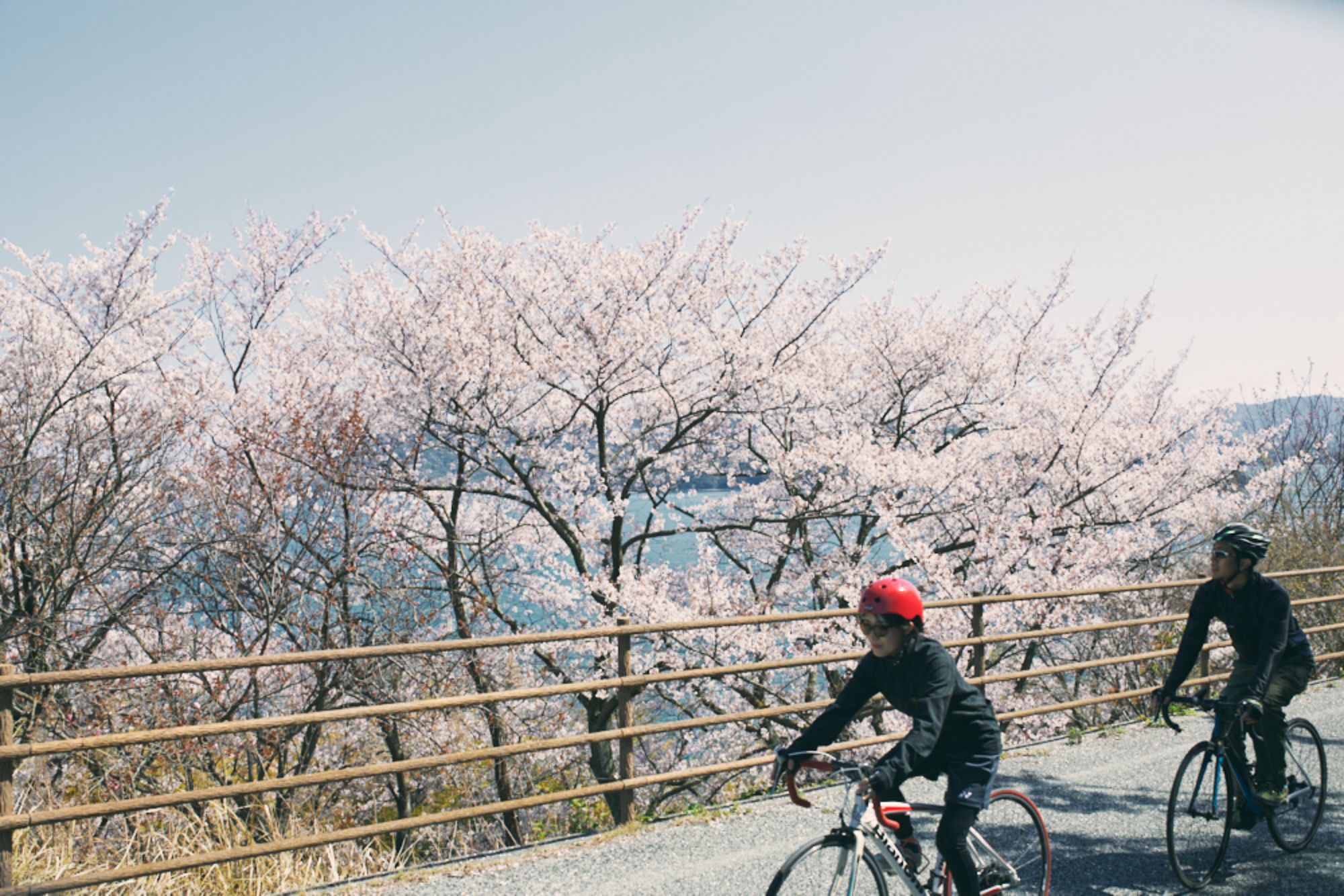 Cycling & Cruising (WAKKA – Setoda)